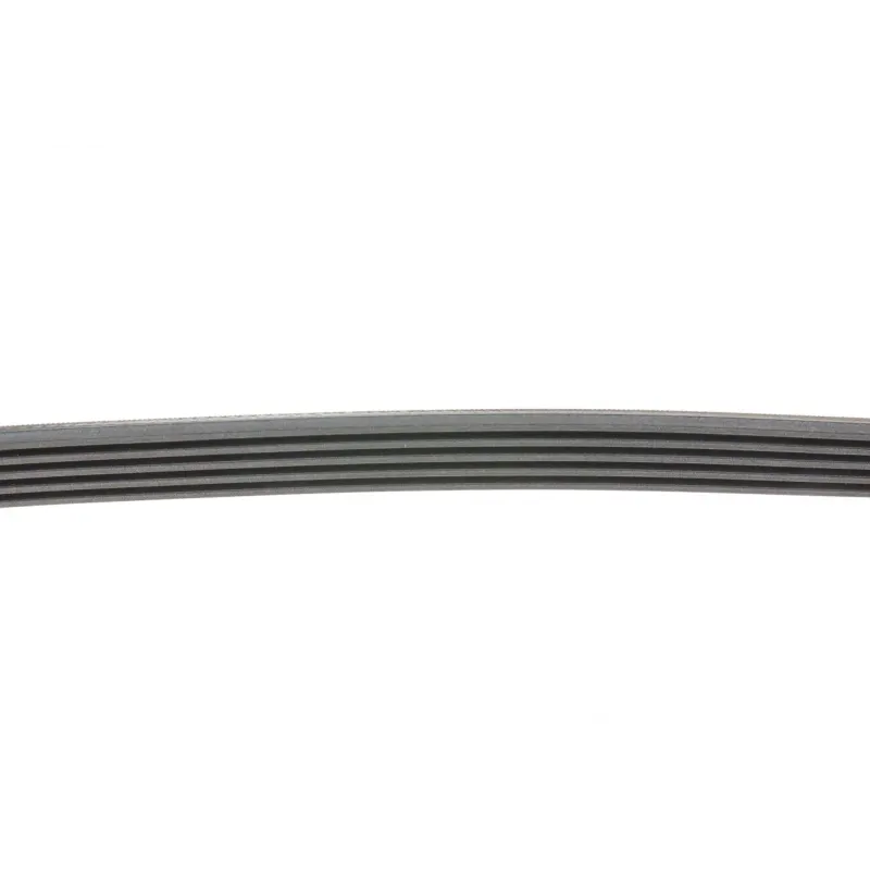 Ремінь генератора Renault Trafic/Master/Laguna/Opel Movano/Vivaro 1.9dCi 01-/BMW 3 (E36) 3.0 92-98