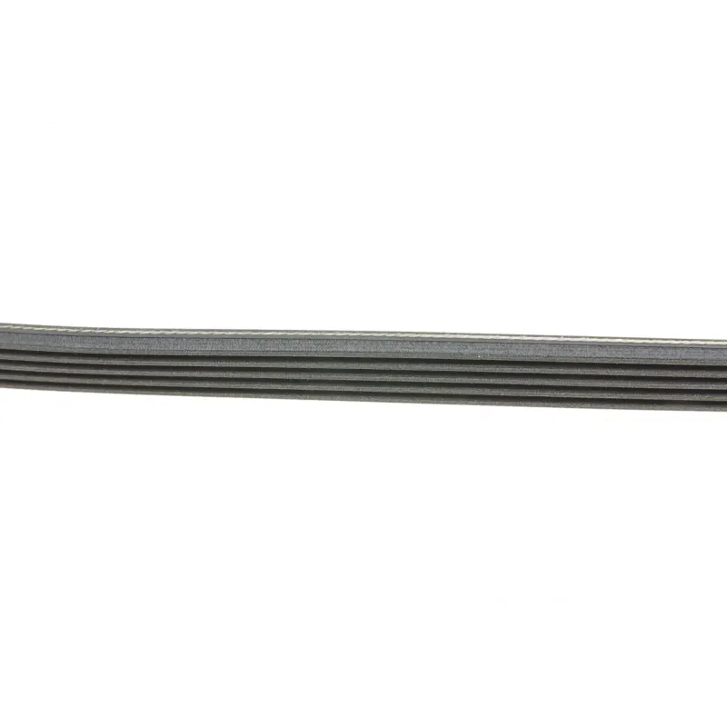 Ремінь генератора Renault Kangoo/Megane/Laguna 1.4/1.5 dCi/1.6 03-/Audi A6 4.2FSI 06-11