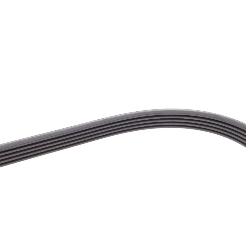 Ремінь генератора Opel Movano/Renault Master 2.5D/2.8DTI 98-01/Megane/Laguna/Scenic 1.4-1.6 03-08