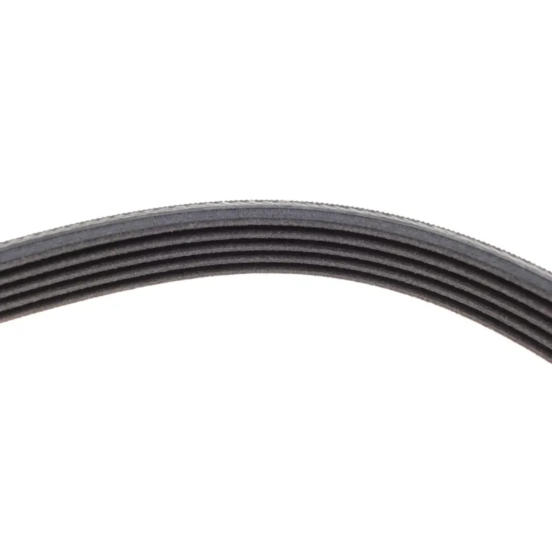 Ремінь генератора CONTINENTAL 5PK1432 для VW Passat B5/Audi A4/A6 1.9TDI 1998-2005, Skoda Superb 1.9/2.0TDI 2001-2008, 1432 мм