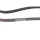 Ремінь генератора CONTINENTAL 5PK1592 для VW Passat B5 1.9TDI 1996-2000, Audi A4 B5 1.9TDI 1995-2000, Kia Carnival 2.9TDi 1999-2006, довжина 1592 мм