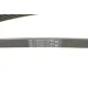 Ремінь генератора CONTINENTAL 5PK1765 для Mercedes-Benz A-Class W169, B-Class W245, Opel Insignia 1.5-2.0 2004-2017, 1765 мм