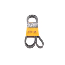 Ремінь генератора Opel Omega B 2.5DTI 01-03/Land Rover Range Rover 3.0D 02-12 (5PK2020)