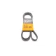 Ремінь генератора Opel Omega B 2.5DTI 01-03/Land Rover Range Rover 3.0D 02-12 (5PK2020)