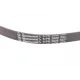 Ремінь генератора Opel Omega B 2.5DTI 01-03/Land Rover Range Rover 3.0D 02-12 (5PK2020)