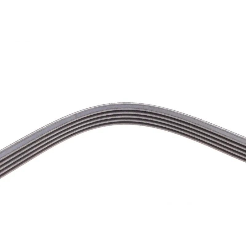 Ремінь генератора Opel Omega B 2.5DTI 01-03/Land Rover Range Rover 3.0D 02-12 (5PK2020)