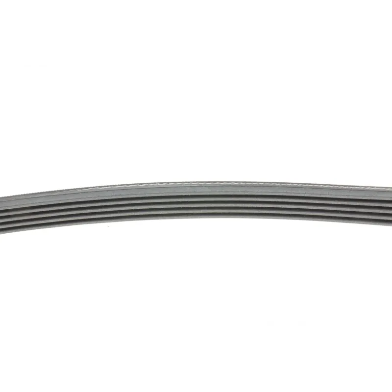 Ремінь генератора Fiat Scudo 2.0 JTD 99-06 (5PK970)