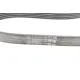 Ремінь генератора Ford Fiesta/Focus 1.4/1.6i 16V 01-12 (6PK1019 ELAST+5PK690 ELAST)