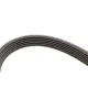 Ремінь генератора Citroen Berlingo/C3/C5/C4/Peugeot Pertner/308/5008 1.6HDi 08-