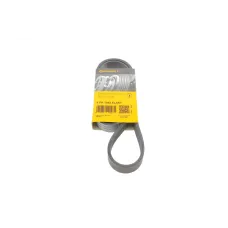 Ремінь генератора CONTINENTAL 6PK1042 ELAST для Ford Focus, Fiesta, Fusion, Mazda 2 (1042 мм)