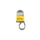 Ремінь генератора CONTINENTAL 6PK1042 ELAST для Ford Focus, Fiesta, Fusion, Mazda 2 (1042 мм)