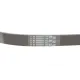 Ремінь генератора VW Golf III/Passat/Caddy 1.9/2.0TDI/SDI 03-10/Skoda Octavia/Superb 1.9/2.0TD 04-15