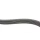 Ремінь генератора CONTINENTAL 6PK1059 ELAST T2 для Ford Focus, Volvo C30/S40/V50 (к-кт 2шт)