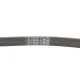 Ремінь генератора CONTINENTAL 6PK1270 для Ford Focus/Mondeo 2.0 TDCi, Fiat Bravo/Stilo 1.8/1.9D, 1270 мм