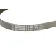 Ремінь генератора Ford Focus/Mazda 3/5/Volvo S40/V50/C30 1.8/2.0 03-