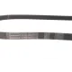Ремінь генератора CONTINENTAL 6PK1360 для Fiat Scudo, Ford Focus, Opel Corsa 1.3D/1.6D/1.8D