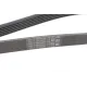 Ремінь генератора Land Rover Defender/Range Rover 3.0 Hybrid 19-