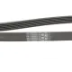 Ремінь генератора Citroen Berlingo/Jumpy/Fiat Scudo/Peugeot Partner 1.9D 98-/Hyundai Accent 02-05