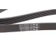 Ремінь генератора VW Golf 1.6FSI 02-06/BMW 3 (E46)/5 (E39/E60) 2.0-3.0 97-10/Ford Focus/Kuga 1.5 14-