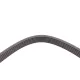 Ремінь генератора VW Golf 1.6FSI 02-06/BMW 3 (E46)/5 (E39/E60) 2.0-3.0 97-10/Ford Focus/Kuga 1.5 14-