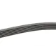 Ремінь генератора VW T5/Amarok 2.0TDI 09-/Ford Focus/Kuga/Galaxy 98-/Opel Astra J/Insignia A 1.6 08-
