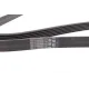 Ремінь генератора VW LT 2.8TDI 97-06/Ford Transit 2.2TDCi 11-14/Citroen Jumper 2.2HDi 11-