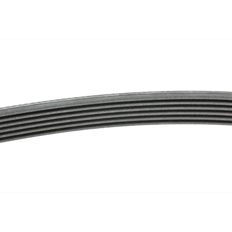 Ремінь генератора CONTINENTAL 6PK1660 для Fiat Scudo, Citroen Berlingo, VW Golf 1660 мм