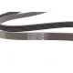 Ремінь генератора CONTINENTAL 6PK1693 для Skoda Yeti, Seat Toledo, VW Touran, Toyota Corolla 1.2TSI/1.4/1.6i 1693 мм