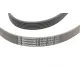 Ремінь генератора CONTINENTAL 6PK1705 для Citroen Jumper 1.9TD 94-02, 1705 мм