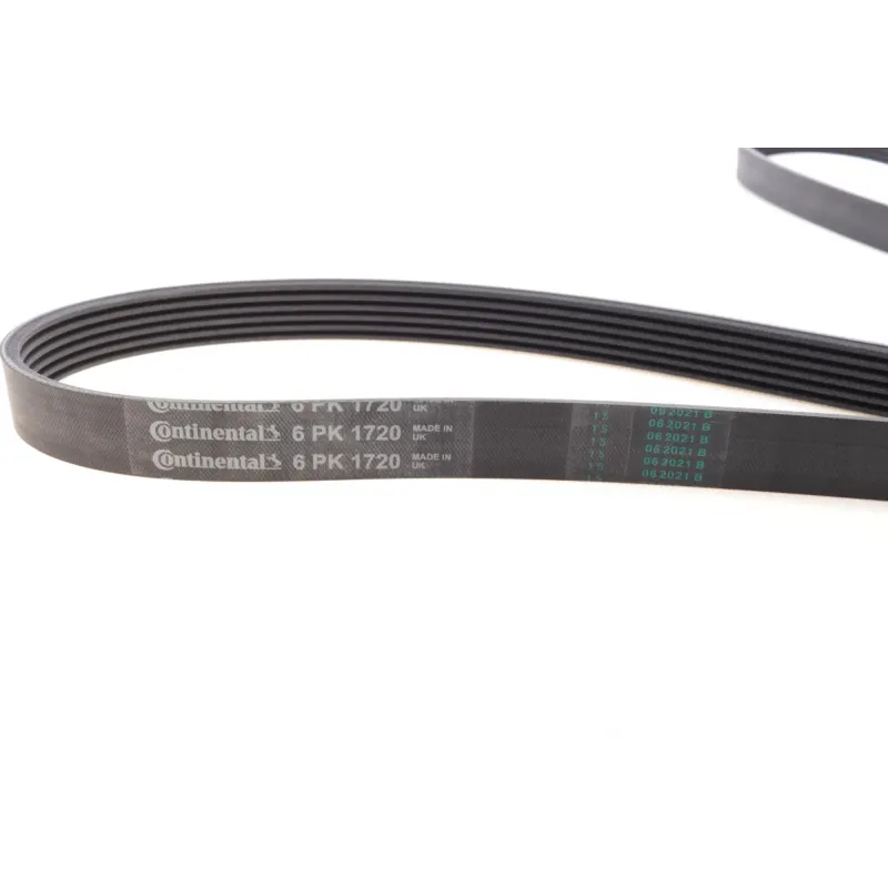 Ремінь генератора Ford Connect 1.8 TDCI
