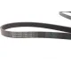 Ремінь генератора Ford Connect 1.8 TDCI