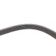 Ремінь генератора VW Golf IV/Passat 1.4/1.6FSI 03-16/Toyota Auris/Avensis 1.4-1.8 03-12