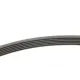 Ремінь генератора CONTINENTAL 6PK1743 для Peugeot 206/306, Citroen C5, Ford Galaxy 1743 мм