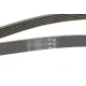 Ремінь генератора CONTINENTAL 6PK1743 для Peugeot 206/306, Citroen C5, Ford Galaxy 1743 мм