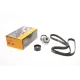 Комплект ременя генератора Opel Vivaro/Renault Trafic II 1.9dCi/2.0 16V 01-