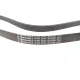 Ремінь генератора Ford Mondeo 2.0TDCi 07-15/Opel Astra J/Insignia A 2.0CDTI 09-17