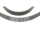 Ремінь генератора Audi A4/A6/A8 2.4/2.6/2.8 95-