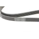 Ремінь генератора VW T4 2.0i 91-03/Opel Vectra 2.2 98-05/Toyota Avensis 1.6/1.8 00-03