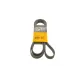Ремінь генератора Infiniti FX/M45/Lexus GS/Mitsubishi Outlander 1.8-4.5 93-