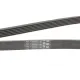 Ремінь генератора MB C-class (W202) 93-01/E-class (W124) 93-98/Ssangyong Korando 96-06/Dodge 06-