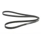 Ремінь генератора MB C-class (W202) 93-01/E-class (W124) 93-98/Ssangyong Korando 96-06/Dodge 06-