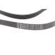 Ремінь генератора CONTINENTAL 6PK2315 для Mercedes-Benz C-Class W202/W210 M112/M113 1997-2000, 2315 мм