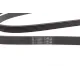 Ремінь генератора CONTINENTAL 6PK2315 для Mercedes-Benz C-Class W202/W210 M112/M113 1997-2000, 2315 мм