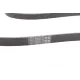 Ремінь генератора CONTINENTAL 6PK2498 для Audi A4/A6/Q5, Hyundai Santa Fe/Kia Sorento 2498 мм