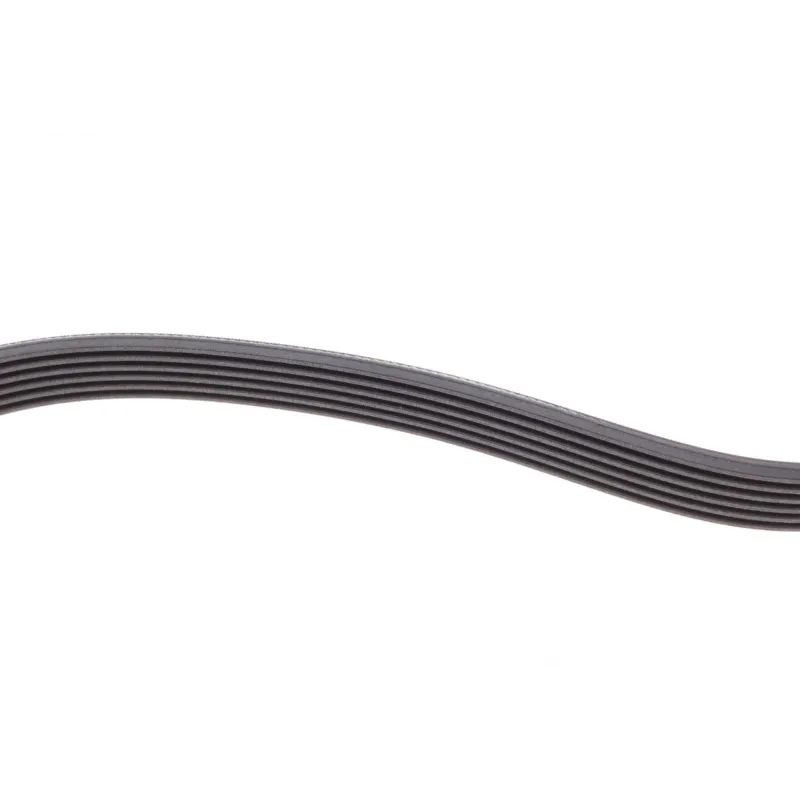 Ремінь генератора VW Caddy/Golf/Skoda Octavia 1.6/2.0 04-15/Fiat Ducato 2.5TDI 94-02/Scudo 1.6 96-06