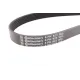 Ремінь генератора VW T4/Caddy 1.9D/TD 90-03/Toyota Corolla/Auris 1.4D 06-14/Kia Rio 1.25 17-