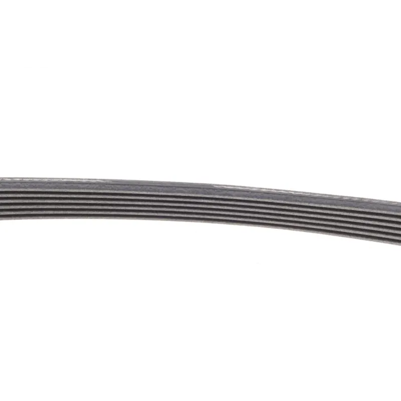 Ремінь генератора CONTINENTAL 6PK989 ELAST для VW Polo, Skoda Fabia, Seat Ibiza 1.0/1.6