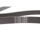 Ремінь генератора BMW X5 (E70) 4.8i 07-08/Renault Master/Opel Movano 2.3 dCi/CDTI 10- (7PK1666)