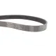 Ремінь генератора CONTINENTAL 7PK1705 для Renault Megane/Laguna/Scenic 2.0 dCi 07-, Peugeot 508 2.0HDI 18-