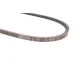 Ремінь генератора VW Jetta 1.6/1.8 82-92/Seat Toledo 1.6/1.8/2.0 91-99/Ford Transit1.6/2.0 77-86